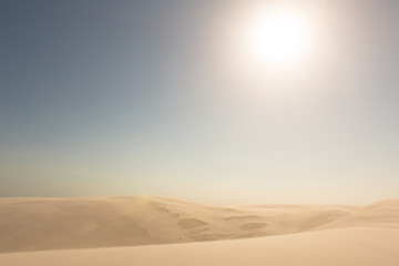 Golden sand dunes