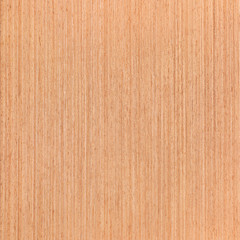 Naklejka premium oak wooden texture, wood wallpaper