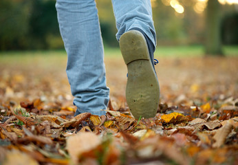 Walking with boots on autumn leaves
