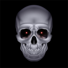 Chrome mystic skull.