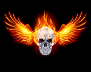 Fiery skull with fire wings. © Dvarg