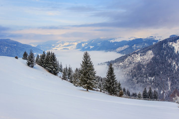 Fototapeta premium winter landscape