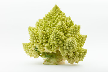 Romanesco broccoli (Brassica oleracea)