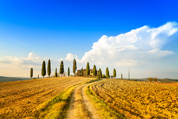 Tuscany, farmland, cypress trees and road. Siena, Italy.