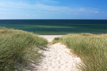Weg zum Strand durch Dünen bei Kampen auf Sylt