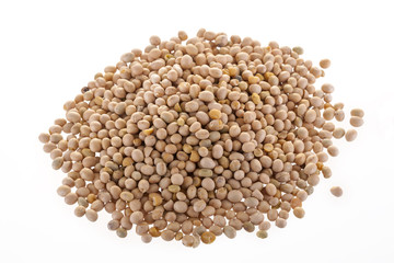 soy isolated, an important part of a healthy food