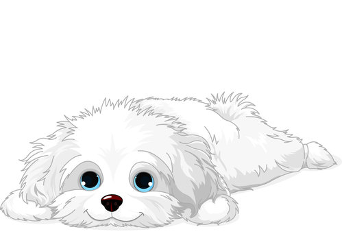 White cheap cartoon dog