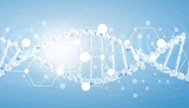 DNA molecule