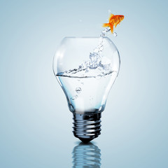 Gold fish inside an electric bulb