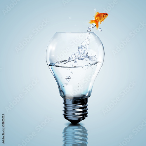 Gold fish inside an electric bulb