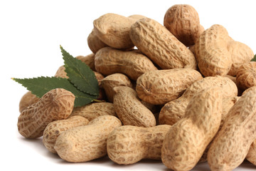 tasty peanuts with leaves, isolated on white