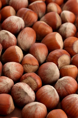 tasty  hazelnuts, close up