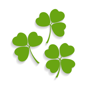 Illustration of shamrocks and the four leaf clover isolated