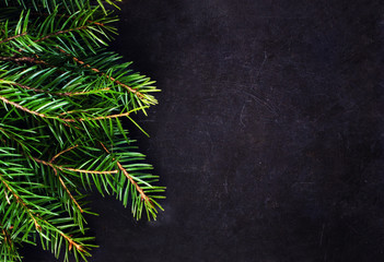 Christmas Tree Branch on Blackboard with copy space for greeting