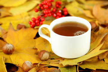 Cup of hot beverage, on yellow leaves background
