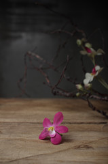 Still life artificial flower and branch on wooden board