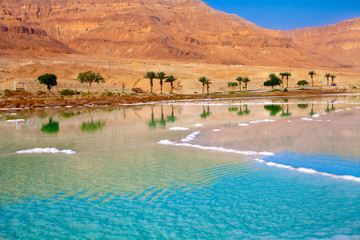 Dead Sea seashore with palm trees and mountains on background - obrazy, fototapety, plakaty