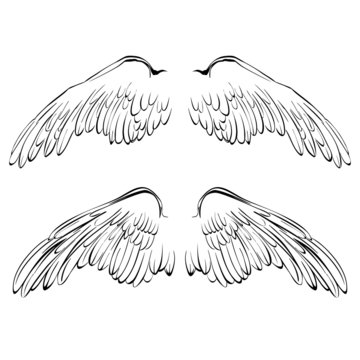 Wings sketch collection cartoon vector illustration