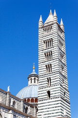Fototapeta na wymiar Katedra w Sienie