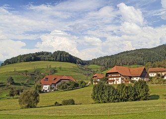 Fototapeta na wymiar Schwarzwalddorf