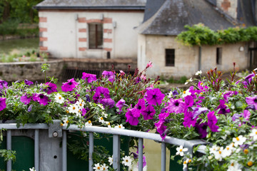 Fototapeta na wymiar Old Country house in Azay le Rideau, France