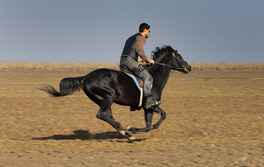 Fototapeta na wymiar Man riding black horse on field