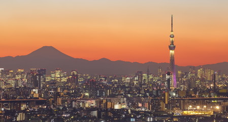 Naklejka premium Tokyo city view and tokyo skytree with Mt Fuji