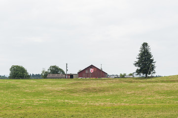Fototapeta premium Jura, Landwirtschaft bei Saignelégier, Pferdezucht, Schweiz
