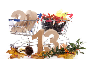 Shoppingcart in autumn