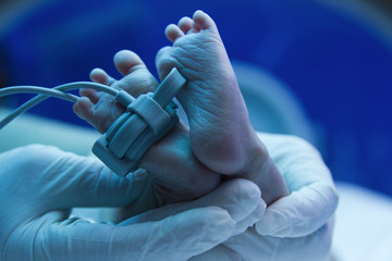 Doctor's hand care for a sick new born baby in the pediatric ICU - obrazy, fototapety, plakaty