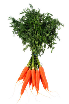 La botte de carottes