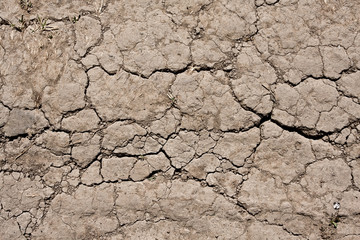 Dry land
