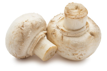 Champignon mushrooms