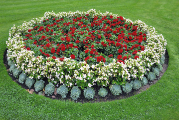 Flowerbed