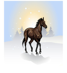 Obraz na płótnie Canvas bay horse in the winter wood