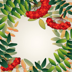 Background with rowan berries and leaves.