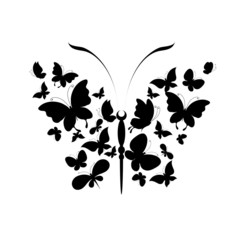 butterflies design