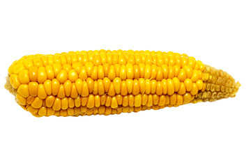 corn on a white background