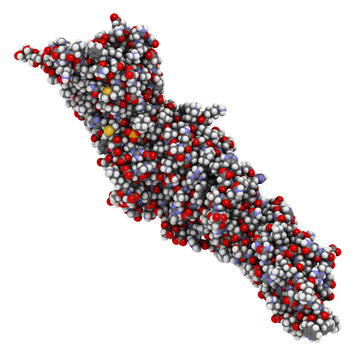 Cholesteryl ester transfer protein (CETP).