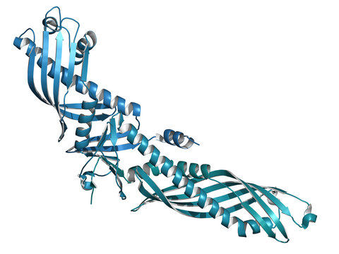 Cholesteryl ester transfer protein (CETP).