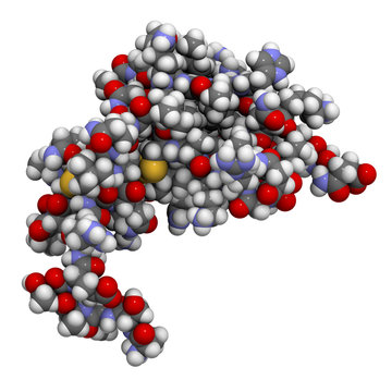 CXCL1 cytokine (AKA melanoma growth-stimulatory activity)