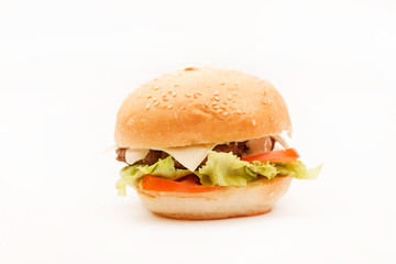 hamburger on the white