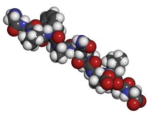 Gliadin derived peptide. Immunogenic breakdown product of gluten