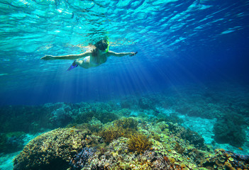 Underwater shot of a woman snorkeling in the sun - obrazy, fototapety, plakaty