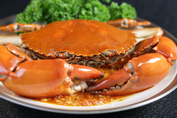 Singapore chili mud crab