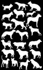 twenty two white dog silhouettes