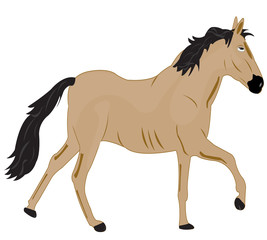 Illustration of a horse