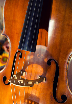 Double bass