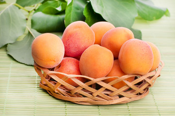 apricots with green leaf isolated