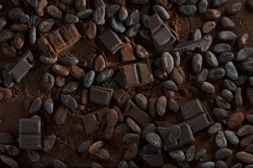 Schokolade mit Kakaobohnen und Kakaopulver